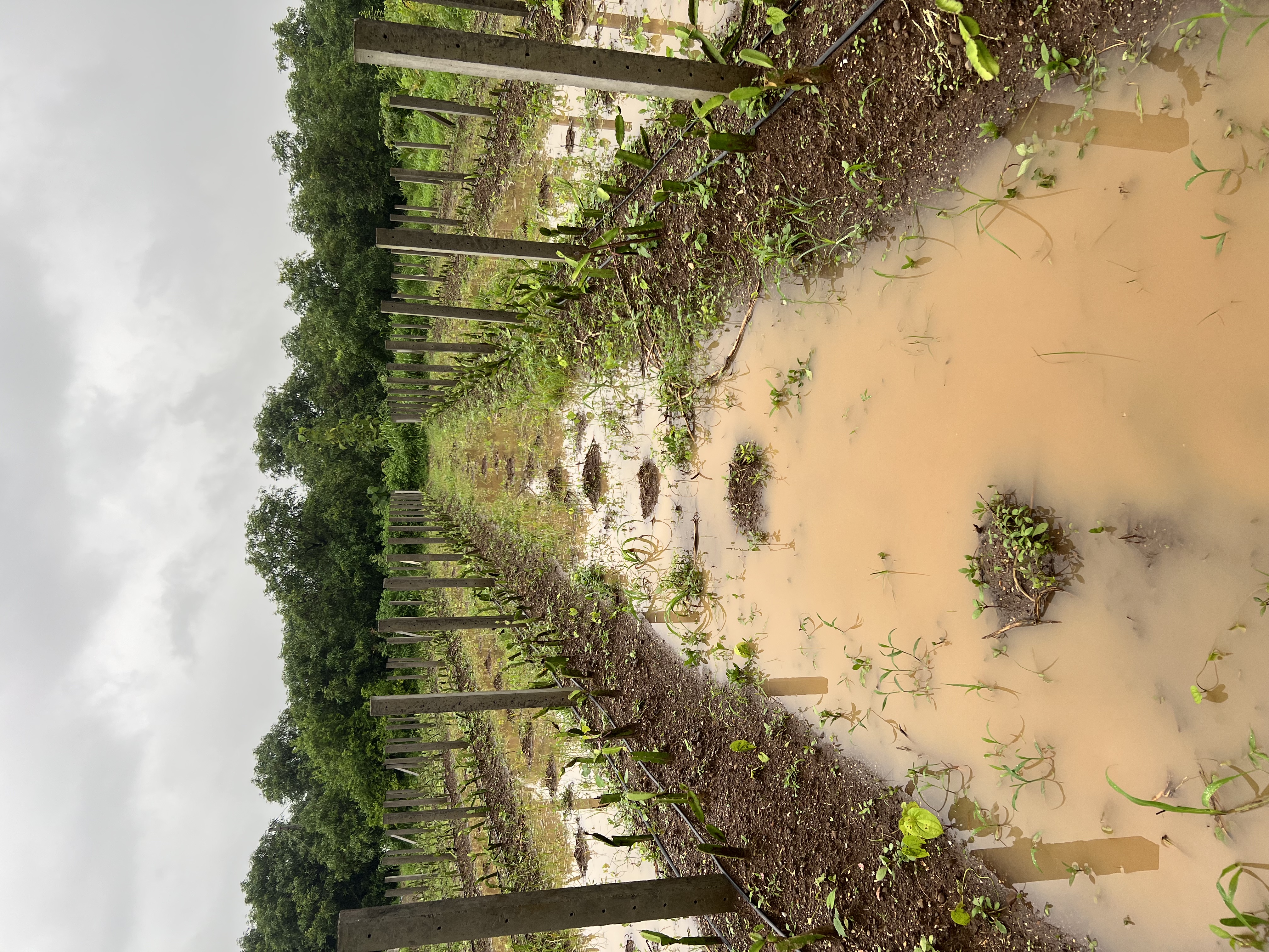 Farming harvest